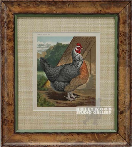 16X15 WRIGHT FAT ROOSTER/ BURL FRM
