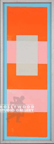 35X13 VIS.CON NEON ORANGE+SQ`S ALUM