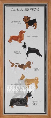 31X13 GI ARTLAB SM.BREEDS -DOGS WD