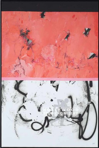 58X39 NGO URBAN POP 2-PINK-BLK-WHT 