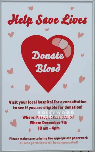 19X12 FERRARO DONATE BLOOD SLVR