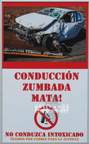 19X12 FERRARO CONDUCCION SLVR