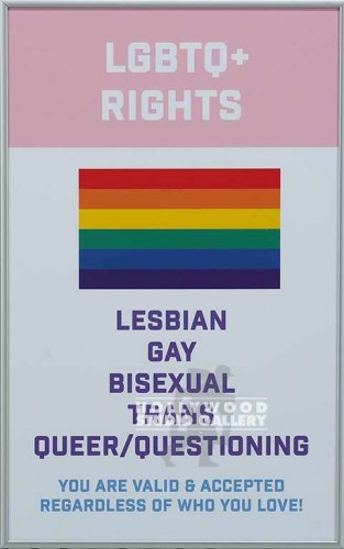 19X12 FERRARO LGBTQ+ RIGHTS SLVR