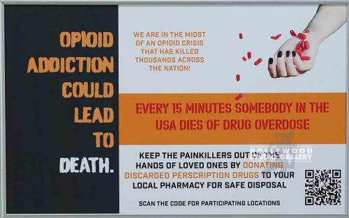 12X19 FERRARO-OPIOD ADDICTION SLV