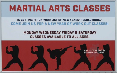 12X19 FERRARO-MARTIAL ARTS CLAS SLV