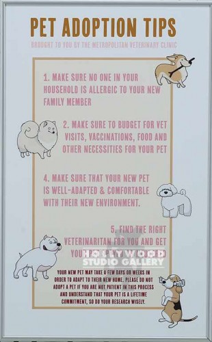 19X12 FERRARO-PET ADOPT TIPS SLVR