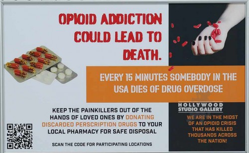 12X19 FERRARO-OPIOID ADDICTION SLV