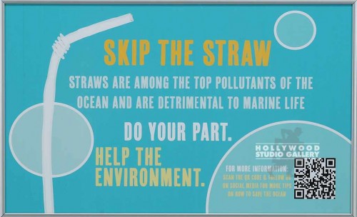 12X19 FERRARO SKIP THE STRAW SLVR
