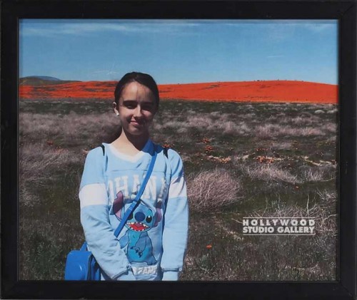9x11 Clr Joey`s Niece Orage Field