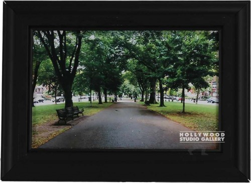 7X10 TABLETOP SMITTY-PARK-TREES