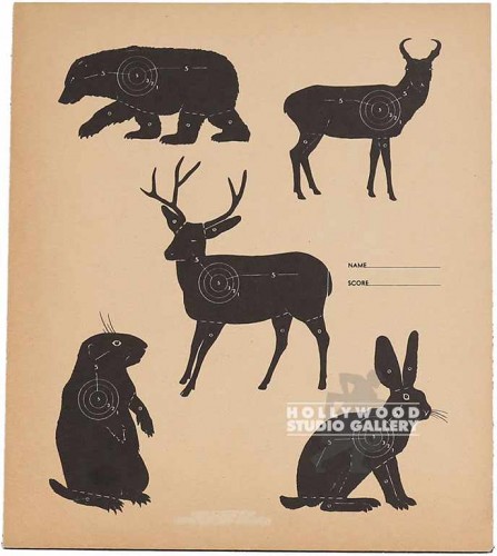 12x11`` Animal Target Practice