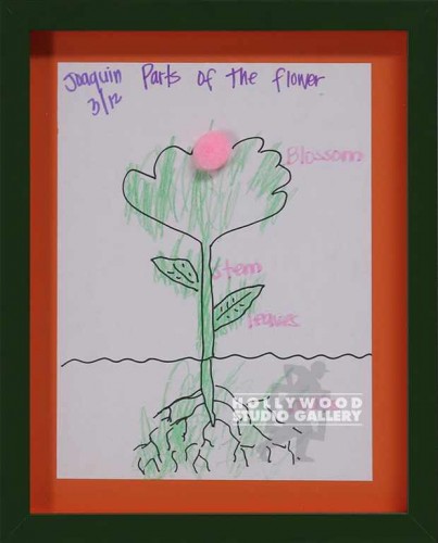 14x12 Kid Flower Anatomy Green Frm