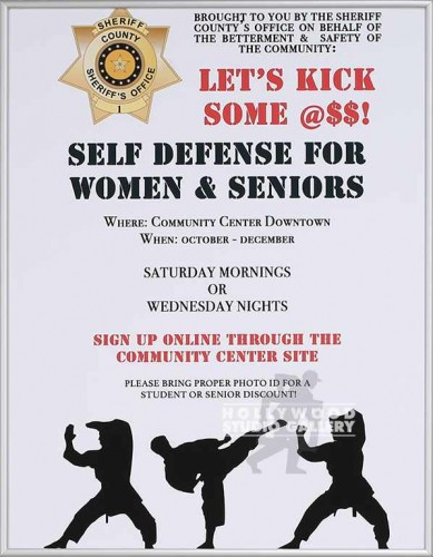 24X19 SELF DEFENSE POSTER SLVR FRM