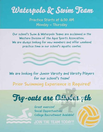 31X24``WATERPOLO PRACTICE POSTER