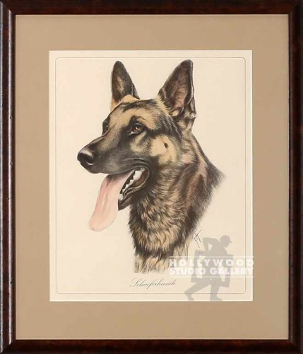 19x16 GERMAN SHEPERD PORTRAIT