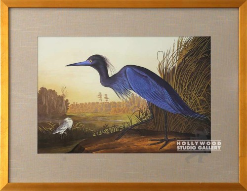 17x23 AUDUBON BIRDS OF AMERICA