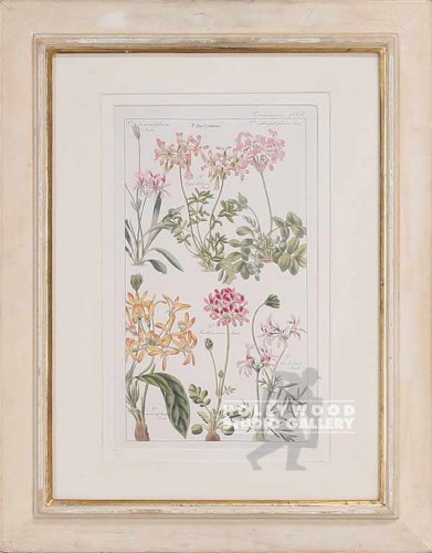 23X18 ENGLISH BOTANICAL/LT.CSTM FRM