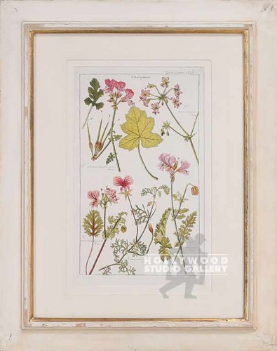 23X18 ENGLISH BOTANICAL/LT.CSTM FRM