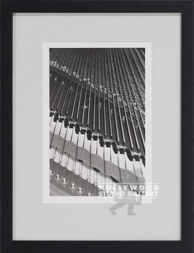 15X11 UTAY/B/W/MUSC/INSTRU/DETAIL