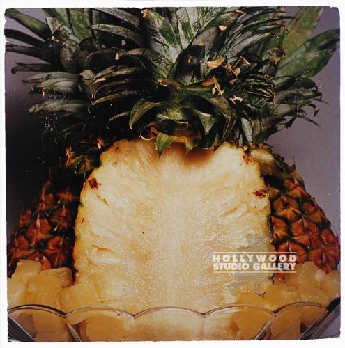 24x24 Fowler/Clor/Pineapple Pht/CIA