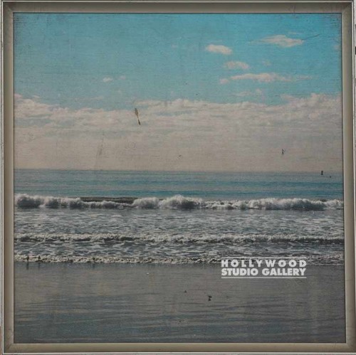 11X11 FOWLER OCEAN BEACH LASER/METL