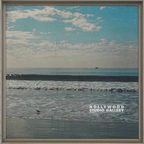 11X11 FOWLER OCEAN BEACH LASER/METL