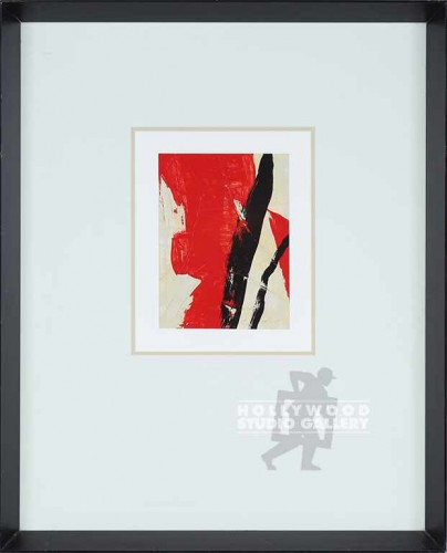 25X20 JARDINE MODERNE II W/ RED-BLK