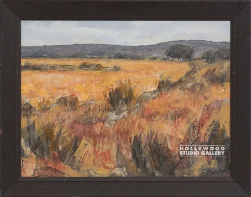 37X47 DIAZ BRUSHY S.WESTSCAPE/WIDE