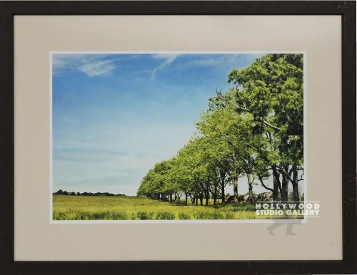 22X28 VIOLA MAKING HAY-TREES/BRN WD