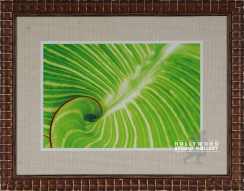 22X28 NATURE SERIES 879-LEAF/BROWN