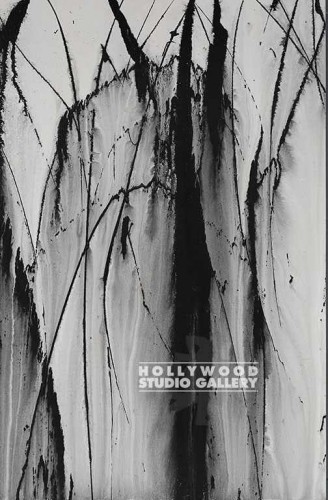 36X24 SKYLER B/W SPLASH B/ -3 PANEL