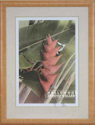43X33 UTAY CORAL HELECONIA FLORAL