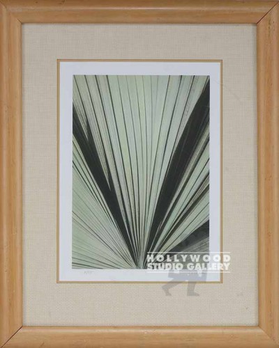 23X18 UTAY FAN PALM DETAIL / BLOND