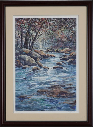46X34 SCHOFIELD STREAM-BLUES/CHERRY