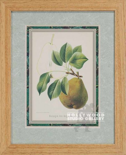 16x13 Fruit Pear Floral Blnd Wood