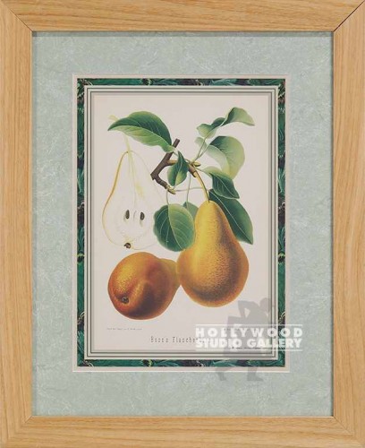 16x13 Fruit Pear Floral Blnd Wood
