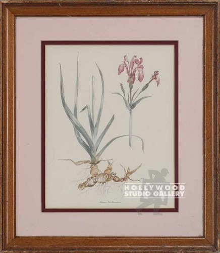 15x14" Botanical/Wood Frame/Peach Mat