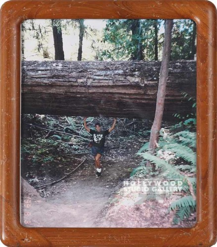 12X10 TABLETOP SUMMER UNDER TREE