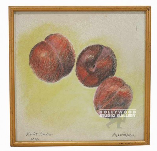 17x17 Singleton Vegetable Sketch