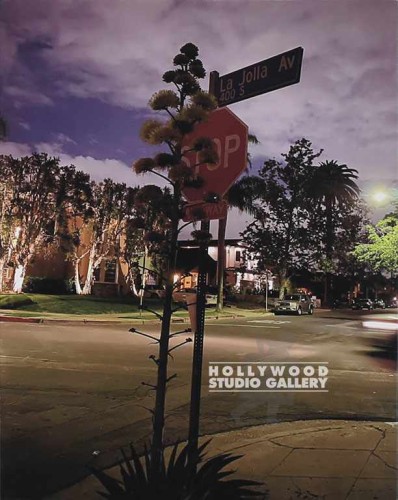 20x16 CITY STREET SCENE PHOTO CNVS