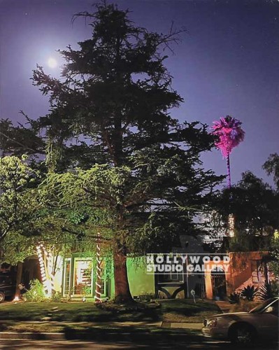 20x16 CITY TREE SCENE PHOTO CNVS