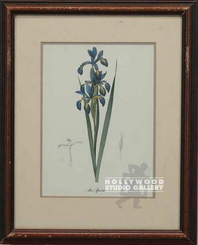 11x13 Botanical Print