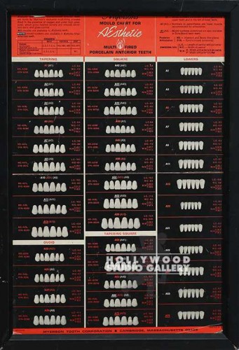19x13 Dental Mold Chart Blck Frm