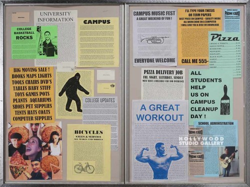 36x48 DRSD. DLB. BULLETIN BOARD PLX