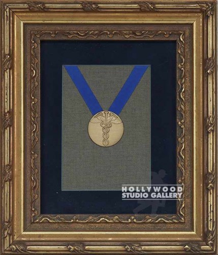 14x12 Medical Medallion/Framed