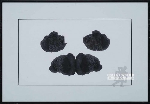 12x18 Ink Blot Test/Framed