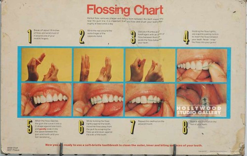 11x17 FLOSSING CHART Unfrmd