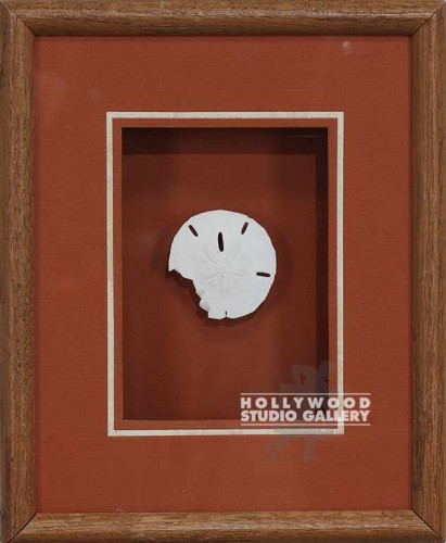 11x9 SAND DOLLAR SHELL BO