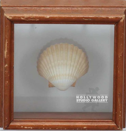 7x7 Shadowbox/Sea Shell