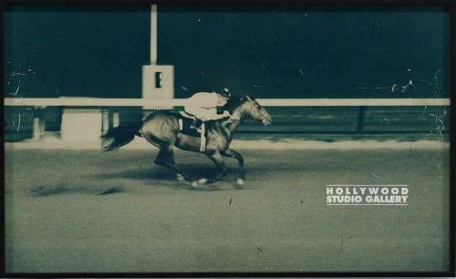 12x20 HORSE RACE PHOTOGRAPH